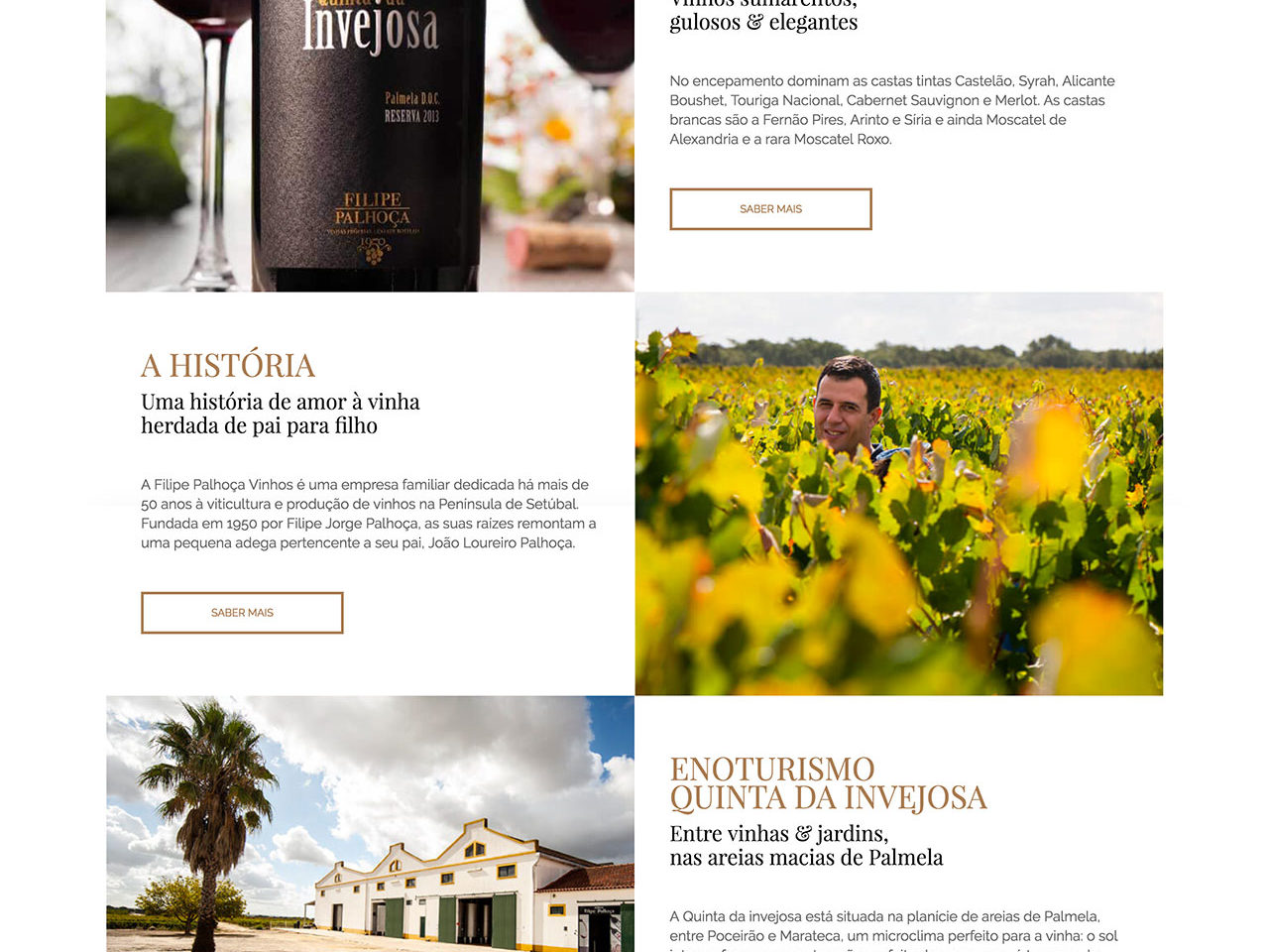 Filipe Palhoça - Website
