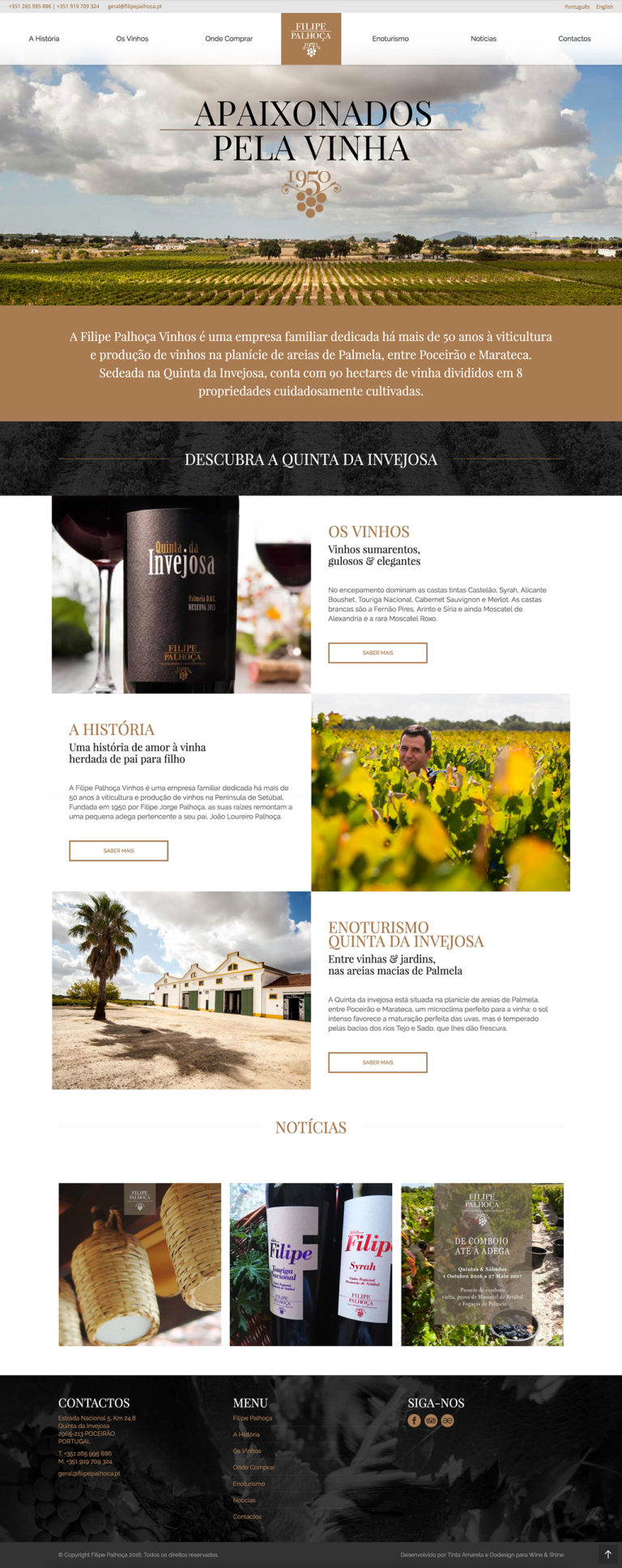 Filipe Palhoça - Website